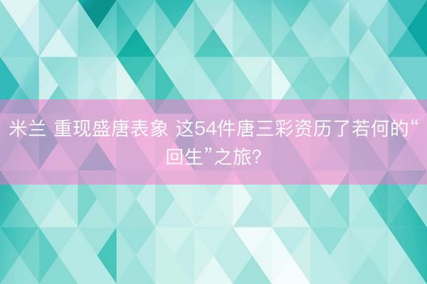 米兰 重现盛唐表象 这54件唐三彩资历了若何的“回生”之旅?