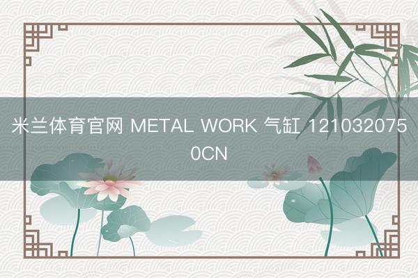 米兰体育官网 METAL WORK 气缸 1210320750CN