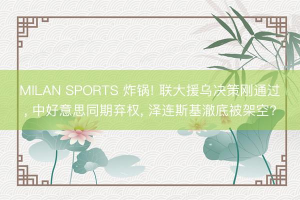 MILAN SPORTS 炸锅! 联大援乌决策刚通过， 中好意思同期弃权， 泽连斯基澈底被架空?