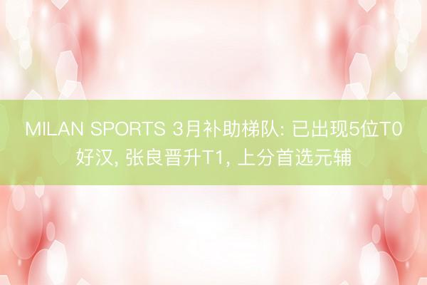 MILAN SPORTS 3月补助梯队: 已出现5位T0好汉， 张良晋升T1， 上分首选元辅