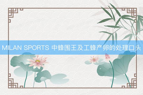 MILAN SPORTS 中蜂围王及工蜂产卵的处理口头