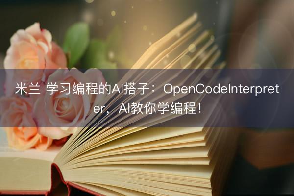 米兰 学习编程的AI搭子：OpenCodeInterpreter，AI教你学编程！