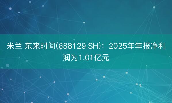 米兰 东来时间(688129.SH)：2025年年报净利润为1.01亿元