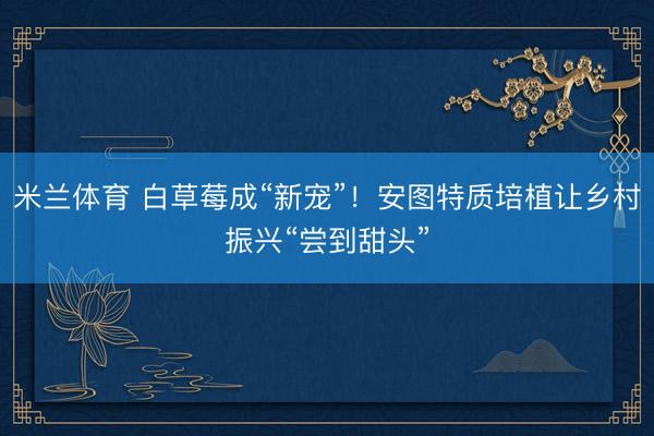 米兰体育 白草莓成“新宠”！安图特质培植让乡村振兴“尝到甜头”