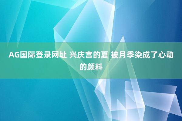 AG国际登录网址 兴庆宫的夏 被月季染成了心动的颜料