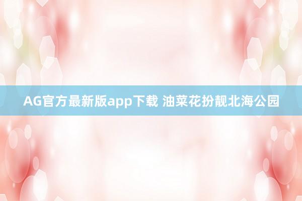 AG官方最新版app下载 油菜花扮靓北海公园