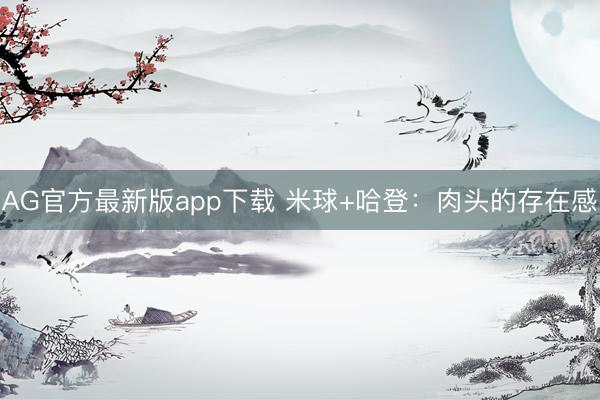 AG官方最新版app下载 米球+哈登：肉头的存在感