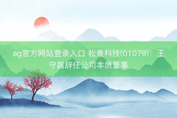 ag官方网站登录入口 松景科技(01079)：王守磊辞任公司本质董事