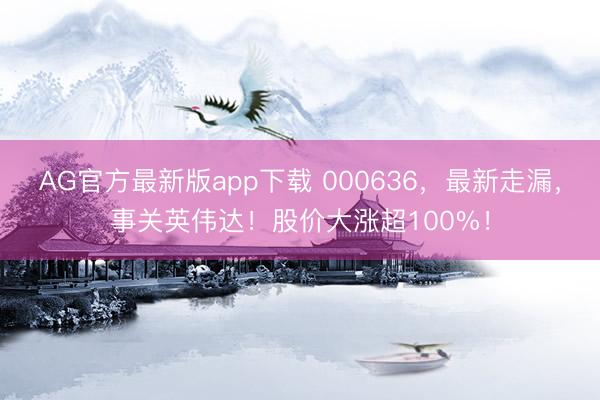 AG官方最新版app下载 000636,最新走漏,事关英伟达!股价大涨超100%!