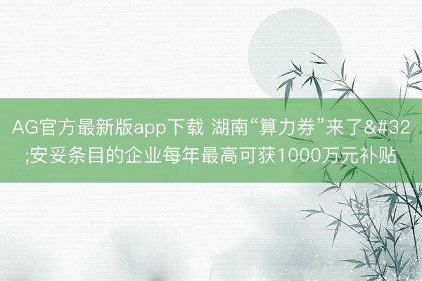 AG官方最新版app下载 湖南“算力券”来了 安妥条目的企业每年最高可获1000万元补贴