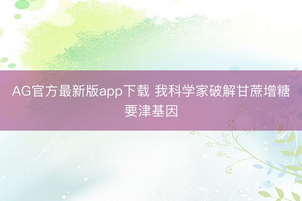 AG官方最新版app下载 我科学家破解甘蔗增糖要津基因